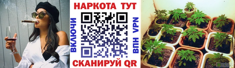 Купить закладку ГАШ Бошки Шишки LSD-25 МЕФ Сосенский