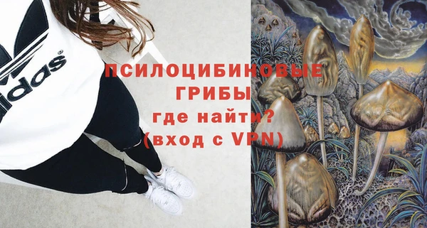 бошки Струнино