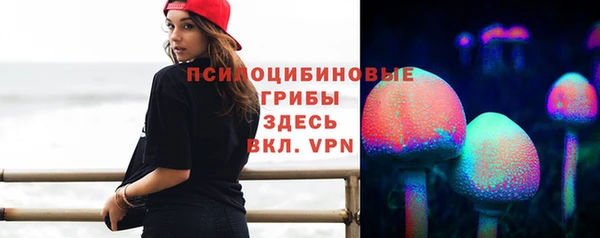 бошки Струнино